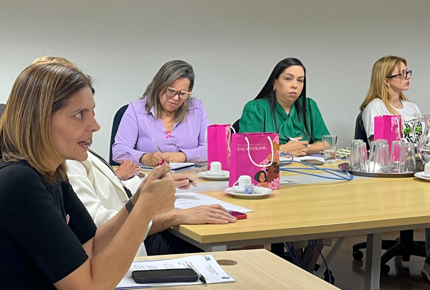 Capa da notícia: Conselho define prioridades e planeja ações para fortalecer políticas de gênero no DF